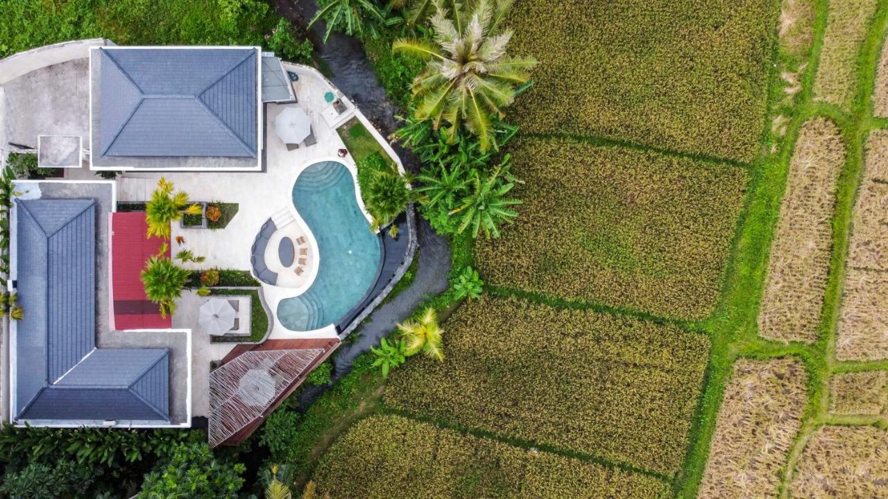 Coconut Grove Villa By Betterplace Ubud (Bali) Ngoại thất bức ảnh