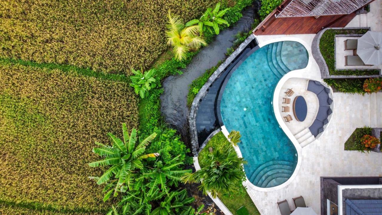 Coconut Grove Villa By Betterplace Ubud (Bali) Ngoại thất bức ảnh